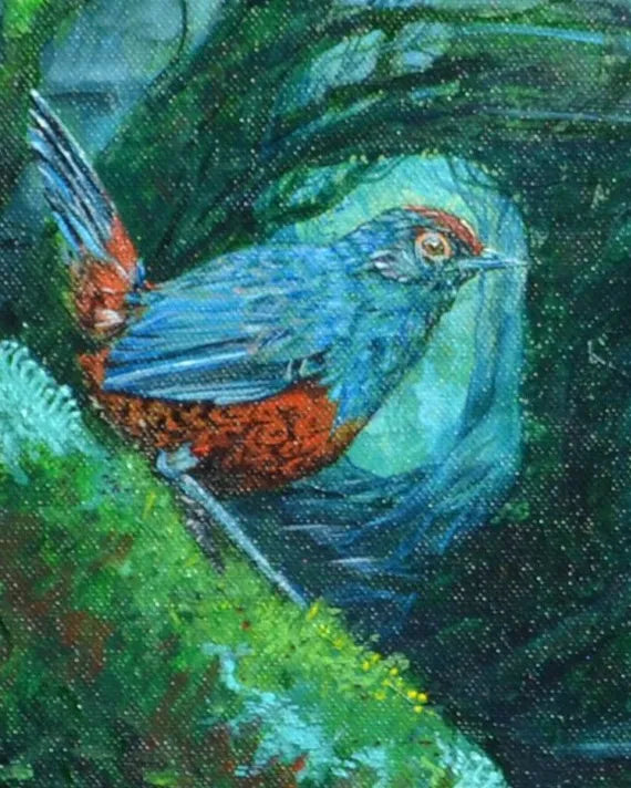 El Tepual de Chiloé
